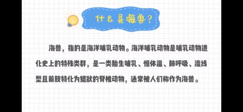 在保持热爱的同时，探究秒速萌兔游戏重新开始的方法：怎么正确地重新玩这款热门游戏？