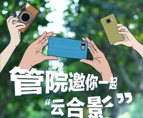 在保持热爱的同时，探究秒速萌兔游戏重新开始的方法：怎么正确地重新玩这款热门游戏？