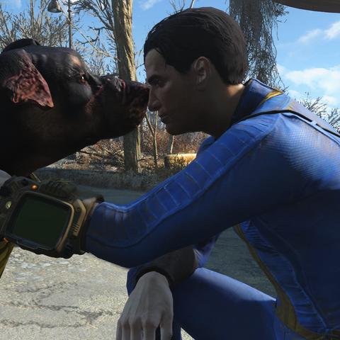 辐射4攻略对象：如何选择最适合的伙伴来帮助你在游戏中取得胜利