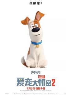 (萌宠探险)探秘世界的萌宠侦探社：动物们的神秘任务与惊人发现