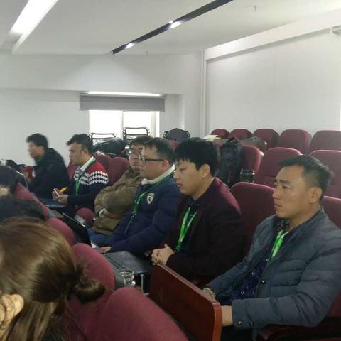 从项目管理软件实训报告中学习：提升团队效率、优化项目规划与执行