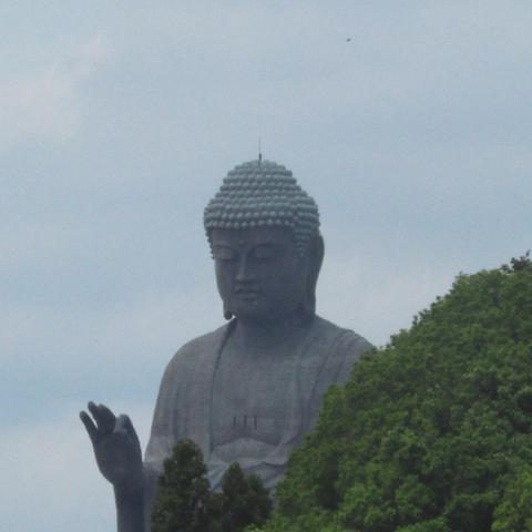 (轻音乐寂静森林)在寂静森林中沉浸：令人放松的纯音乐体验