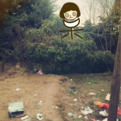 (轻音乐寂静森林)在寂静森林中沉浸:令人放松的纯音乐体验 (轻音乐寂静森林)在寂静森林中沉浸:令人放松的纯音乐体验