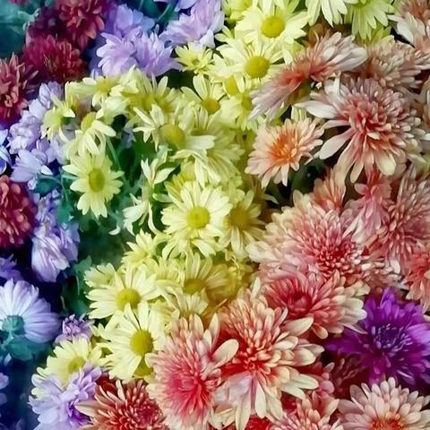 如何在电脑中设置屏保图片？在哪里可以找到电脑屏保图片的设置选项？