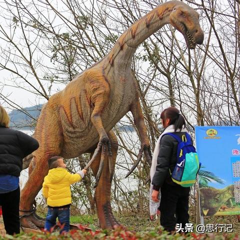 (幼儿了解恐龙)5-6岁儿童如何更好地了解恐龙的知识？