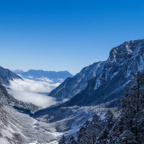 冒险王2已经下架了吗?网友们惊呼新消息,游戏行业迎来重大变故 冒险王2已经下架了吗?网友们惊呼新消息,游戏行业迎来重大变故