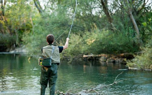 (钓鱼竟技比赛视频)钓鱼竞技比赛技巧游戏：如何在比赛中脱颖而出？