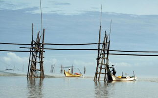(钓鱼竟技比赛视频)钓鱼竞技比赛技巧游戏：如何在比赛中脱颖而出？