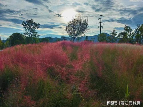(旅行少女图片)旅行少女很推荐哦！梦幻般的万里之行，让心灵自由翱翔