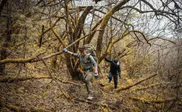 体验野外生存的极致：探究丛林猎人350带领下探秘未知森林的勇者之旅