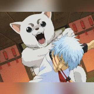 (喵星俱乐部)喵星联盟阵容搭配：打造最强团队，征战宇宙战场！