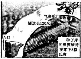 (失落的防线)掌握失落防线攻略，如何保持坚不可摧，避免重大损失？