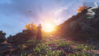 感受秋风拂面，起风了铃音免费下载，让你尽情感受轻盈自由的旋律