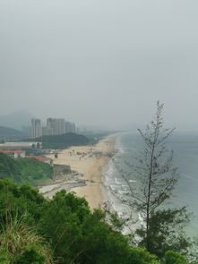 (南海区岗头村)探秘南海礌岗志：海岛上的珍贵遗迹与文化传承