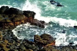 (南海区岗头村)探秘南海礌岗志：海岛上的珍贵遗迹与文化传承