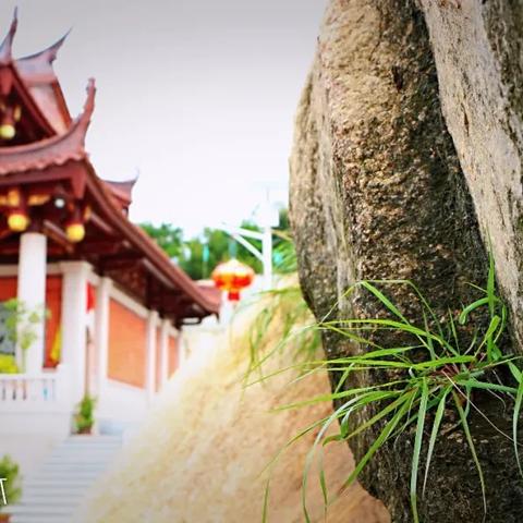 (烈焰重生传奇手游)烈焰重生小程序传奇：如何玩转这款热门游戏并掌握游戏技巧？