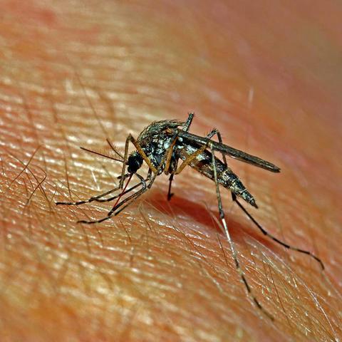 探索人类起源和生存本能：美国一部穿越到远古时代的电视剧的精彩解读