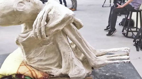 探秘神秘古埃及，小木乃伊的漫长归途：如何通过策略与智谋成功通关归家？