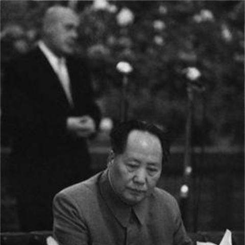 深度解析口袋宠物世界：全面掌握顶级菜谱制作技巧，打造绝世美食与萌宠共享的世界