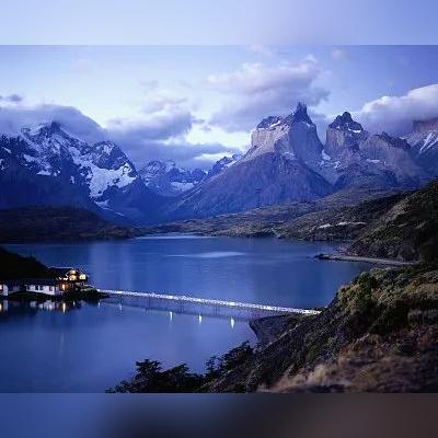 (迷失蔚蓝 陷阱)迷失蔚蓝陷阱：如何正确养护动物并避免风险？