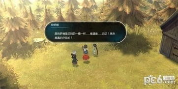 探讨是否'乱失落之岛'是单机游戏：游戏玩法、网络要求与玩家交互性的全面解析