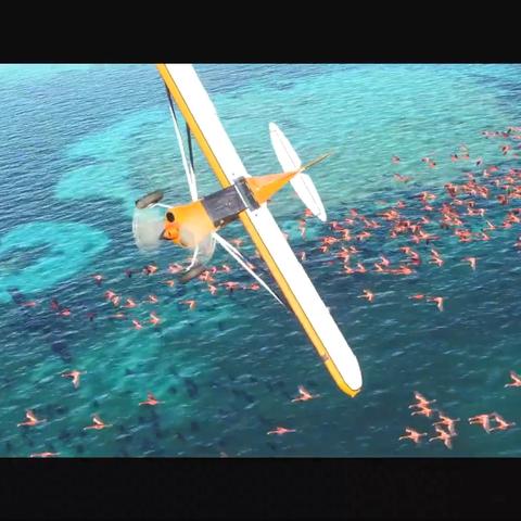 (十八轮大卡车游戏)18轮大卡车模拟驾驶：完整指南和最佳策略玩法解析