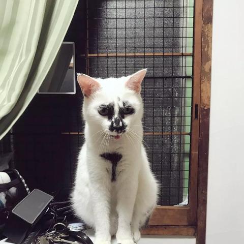 天书奇谈手游平民玩家最优选择：详解各职业优劣背后的平民适用性