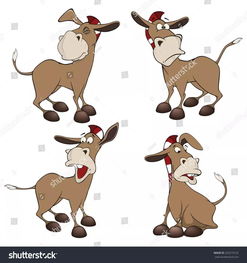 (动物狂欢节精彩不停歇)动物狂欢节有哪些动物参与？大象、狮子、长颈鹿等热闹登场！