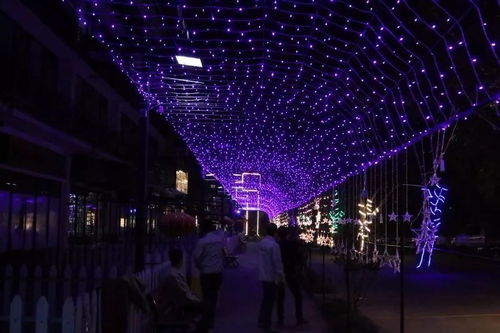 (全民大穿越时代)全民大穿越：时光隧道中的奇幻冒险