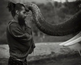 神秘摄影师在深山中意外拍到神奇生物——真实的独角兽，挑战科学家的传统认知