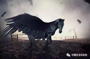 神秘摄影师在深山中意外拍到神奇生物——真实的独角兽，挑战科学家的传统认知