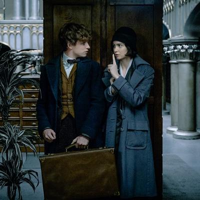 小动物乐队教案：让孩子们在音乐与乐器中与可爱的小动物们一同学习音乐的乐趣！