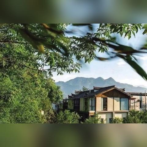 (星火标语)星火文明新风：引领时代潮流，开启新时代的璀璨之光