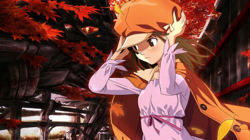 (雏蜂 安德烈)安德烈咬了雏蜂琉璃，留下残忍的瞬间：令人唏嘘的图片展现