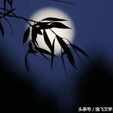 (桂花的诗句大全唯美)细品桂花的诗句之美：从古至今的优雅抒怀与意境探寻