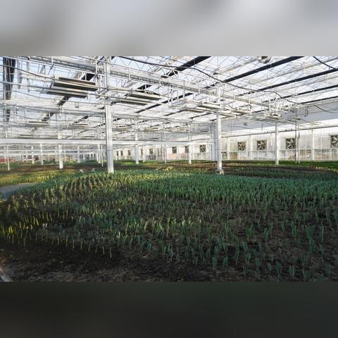 探索进化世界小程序：开启你的奇幻生物进化之旅，体验不一样的虚拟生态！