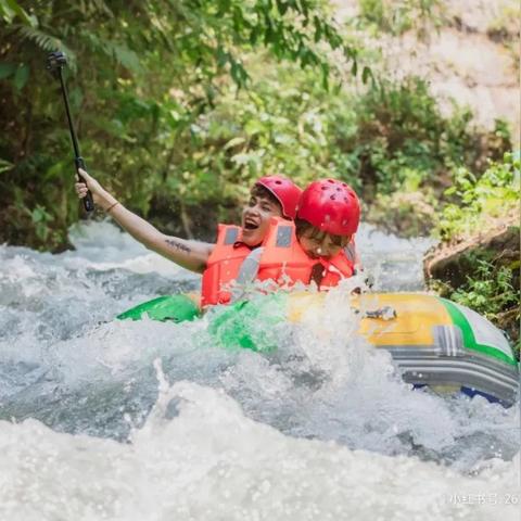探索进化世界小程序：开启你的奇幻生物进化之旅，体验不一样的虚拟生态！