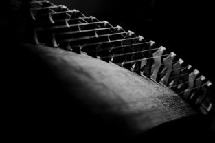 致命节奏图片: 破碎音符蔓延在黑白调的画面中，舞动着致命的旋律和律动。