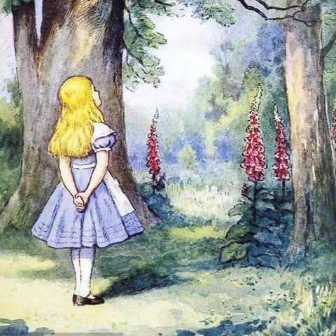 (爱丽丝漫游奇境爱丽丝)探秘神秘奇境：爱丽丝漫游奇遇仙境的奇幻冒险