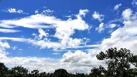 河南蓝天卫士手机版：保护蓝天白云，守护生态环境，尽在手心！