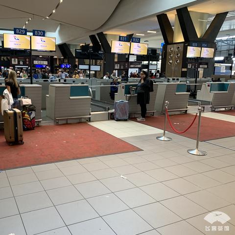 星空联盟金卡：畅游星空，尽享独特豪华服务，打造精英飞行新时代