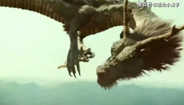 探讨神话传说中的飞龙：为何我们再也看不见不知疲倦的飞龙，它们消失的背后原因