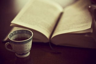 (逃离人间百度百科)《逃离人间》：浸醉嗜酒吃茶的慢节奏生活