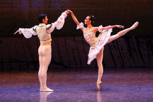 肢体舞姿舞型舞秀游戏：让你尽情挥洒舞蹈魅力，感受独特舞蹈乐趣