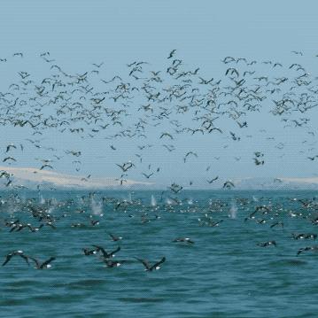 (疯狂篮球赛)在洁白无瑕的雪地上尽情狂欢：疯狂篮球之旅，感受冰雪之美！