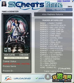 全面解锁爱丽丝疯狂回归:图文攻略及全收集指南,让你轻松畅玩每个细节