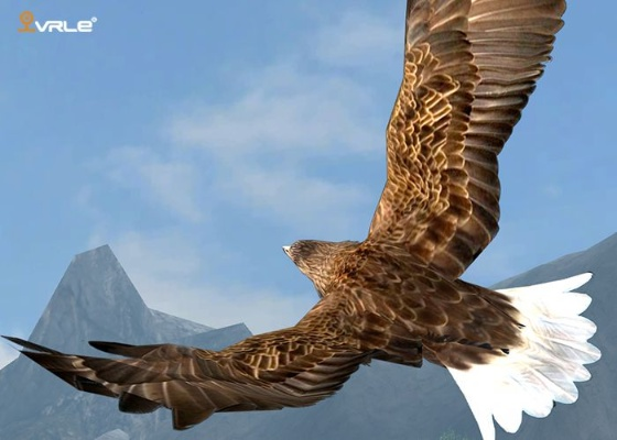 (振翅飞翔同义词)振翅高飞：探索类似鹰击长空的壮丽游戏世界