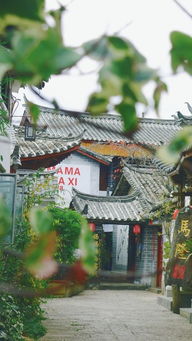 (小巷偶遇打一个字)在小巷里的那次遇见:初中作文《遇见》600字记叙文