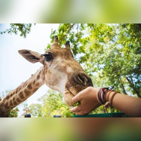 (温江七彩海巢乐园在哪个位置)温江七彩海巢欢乐世界门票,畅游彩虹世界,尽享欢乐时光 (温江七彩海巢乐园在哪个位置)温江七彩海巢欢乐世界门票,畅游彩虹世界,尽享欢乐时光