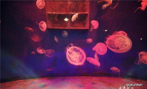 探寻人间绘卷之美:沉浸式游戏体验带来的神奇之旅 探寻人间绘卷之美:沉浸式游戏体验带来的神奇之旅